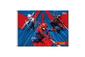 CADERNO ESP CD CARTOG MILIMETRADO SPIDER 80 FHS